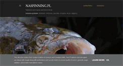 Desktop Screenshot of naspinning.pl